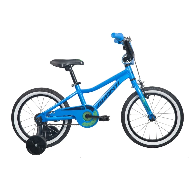 Avanti Mxr 16 - Blue - Image 2