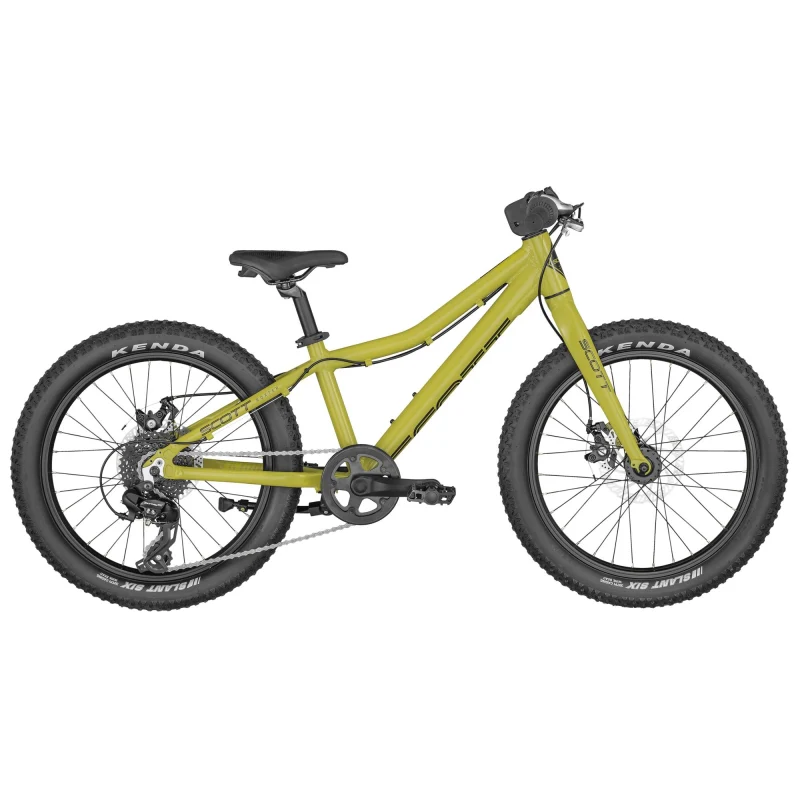 Scott Roxter 20 - Green